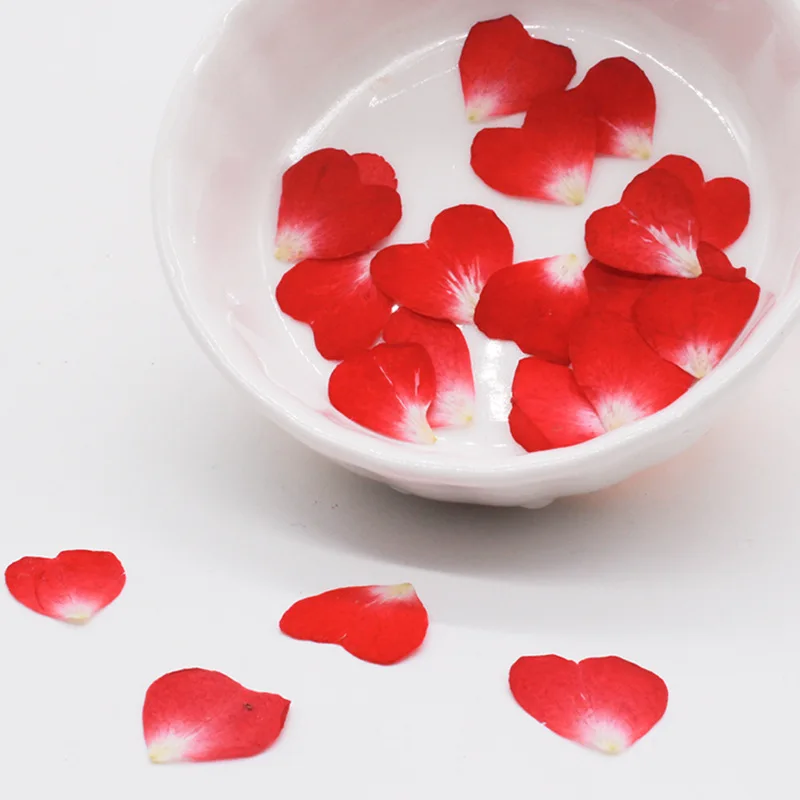 Resin Art Rose Petals - 진짜 자연 건조 압축 하트 꽃