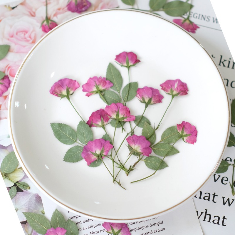 12개, 진짜 미니 장미 압화 핑크색 말린 장미 꽃잎  - Resin Art Rose Petals 리뷰 및 가격