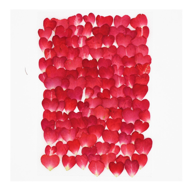 120개 장미 꽃잎 믹스 팩, 말린 꽃, 압화, 수제  - Resin Art Rose Petals 리뷰 및 가격