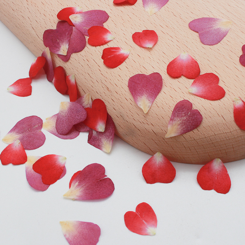 120개 장미 꽃잎 믹스 팩, 말린 꽃, 압화, 수제  - Resin Art Rose Petals 리뷰 및 가격