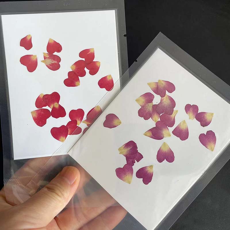 진짜 자연 건조 압축 하트 꽃 꽃잎, 미니 드라이 프레 - Resin Art Rose Petals 리뷰 및 가격