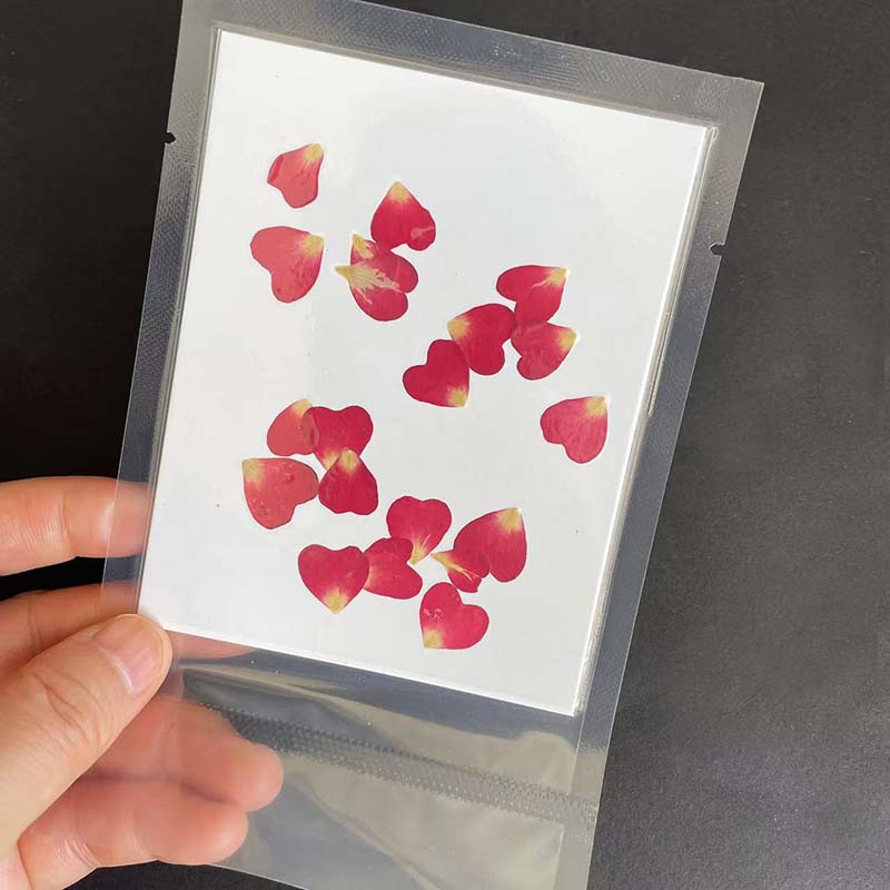 진짜 자연 건조 압축 하트 꽃 꽃잎, 미니 드라이 프레 - Resin Art Rose Petals 리뷰 및 가격