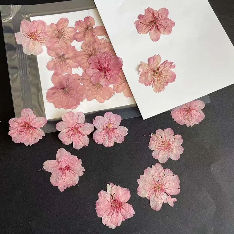 3-4.5CM/24PC 진짜 자연 건조 누르면 다섯 꽃 - Resin Art Rose Petals 리뷰 및 가격