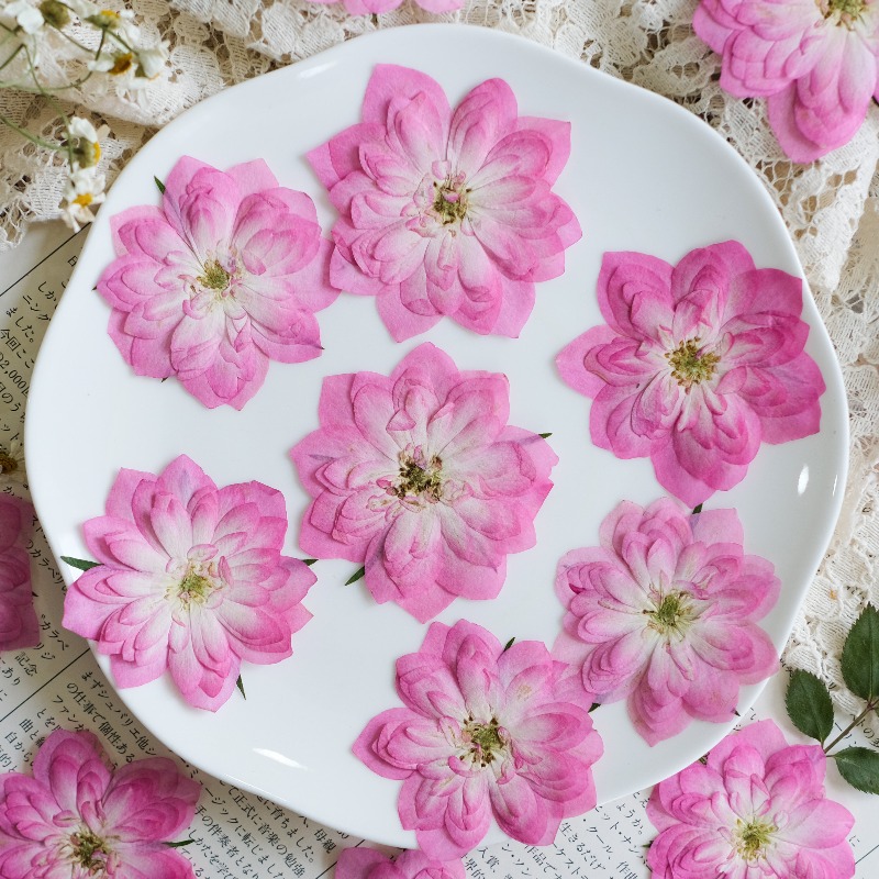 6개, 천연 장미 연꽃 압화 실제 꽃잎 DIY 레진 북 - Resin Art Rose Petals 리뷰 및 가격